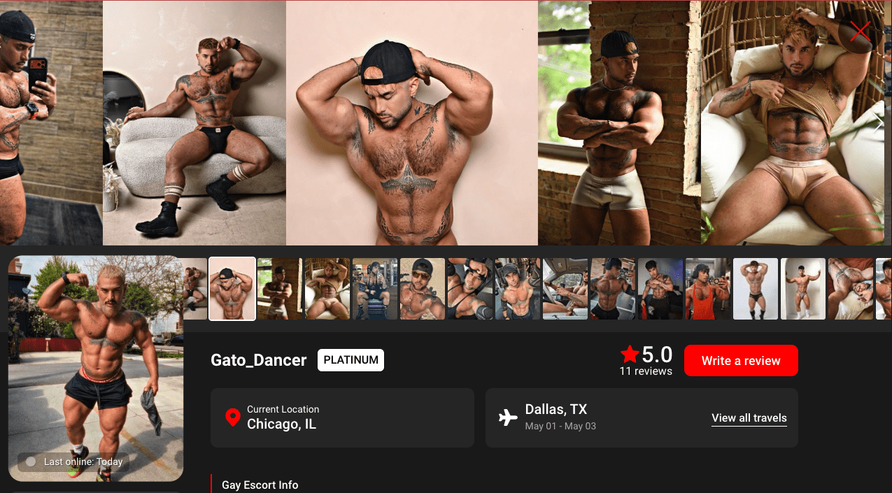 gato_dancer gatogogodancer gatodancer gato dancer chicago escort rentmen rent.men rent men